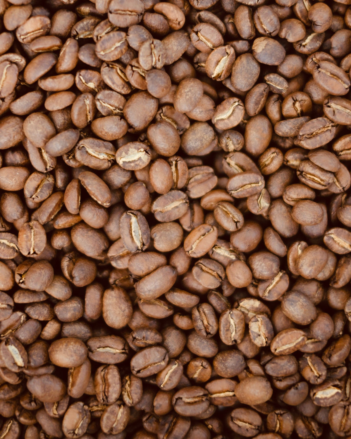 Quebraditas