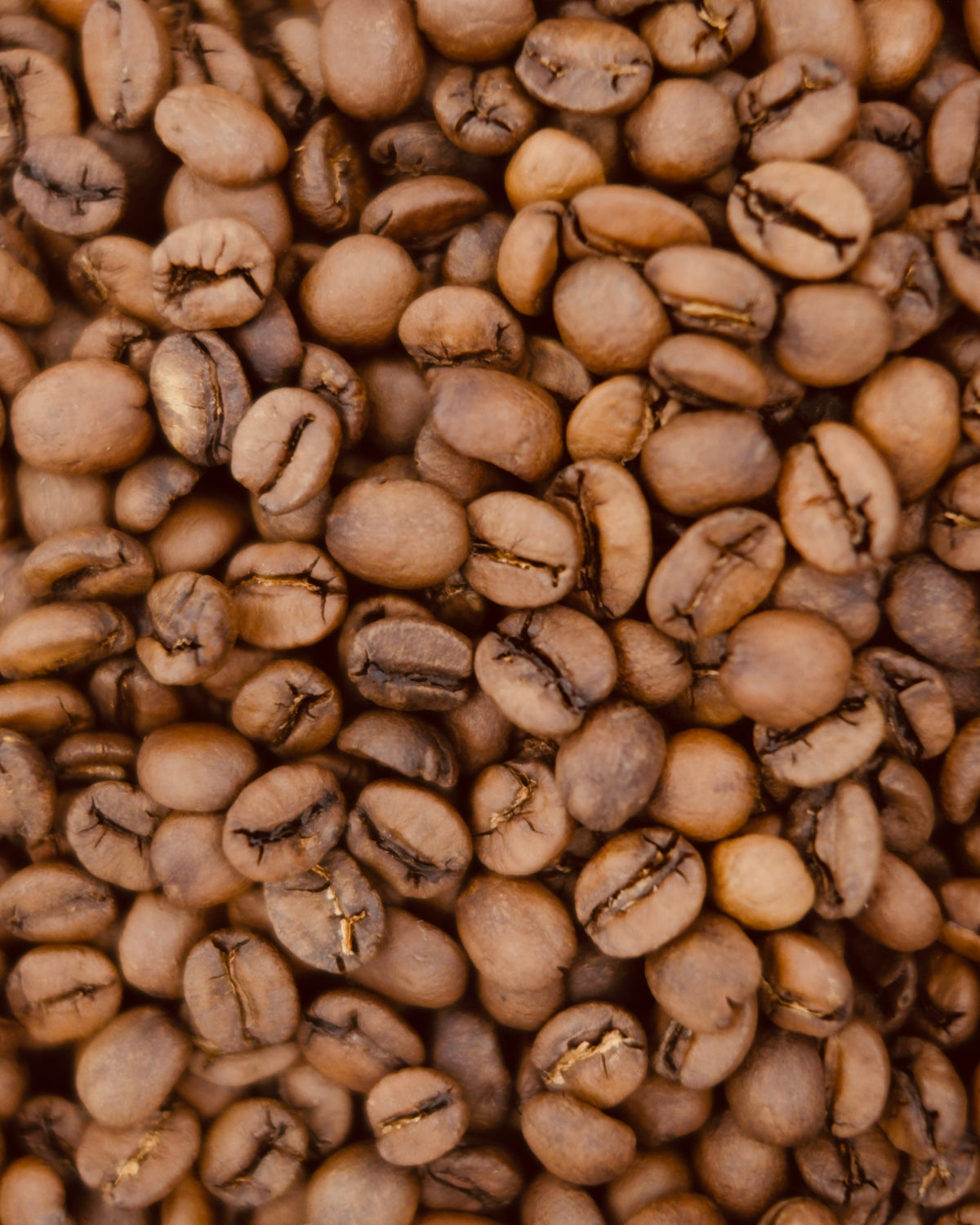 Daterra