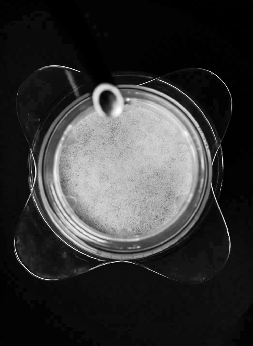 OREA Z1 Filter 50