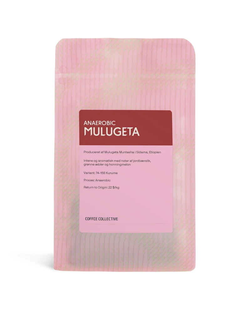 Mulugeta Anaerobic