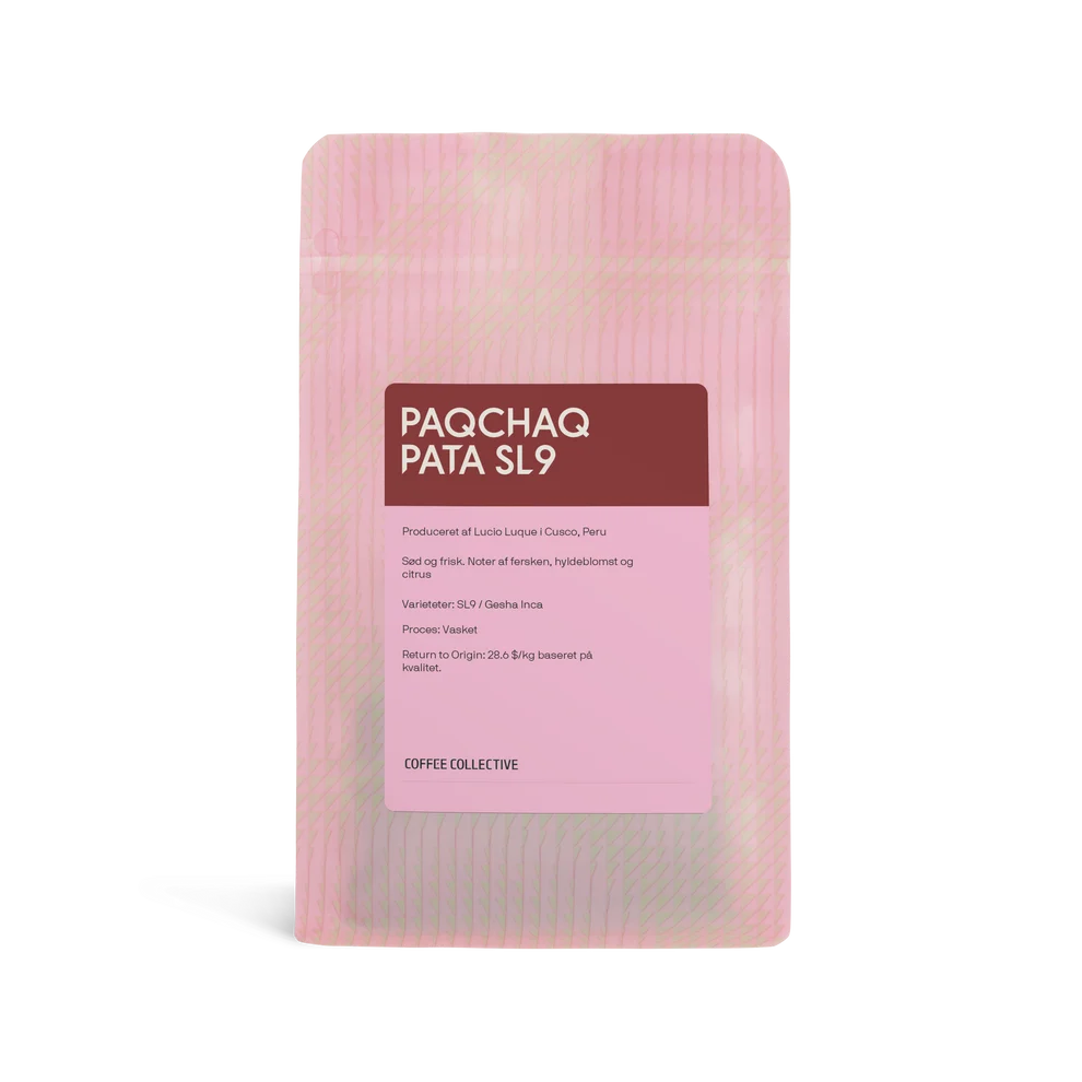 Paqchaq Pata SL9